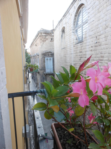 Exterior & Views 1, Palazzo Antica Via Appia, Bari