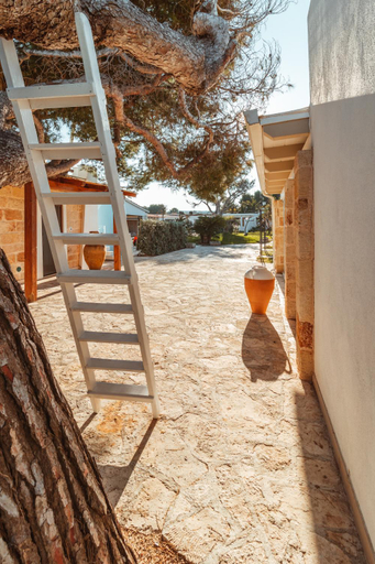 Others 5, Echi di Puglia Marsento, Bari