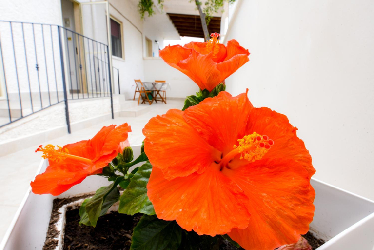 Others 4, B&B Macchia Mediterranea, Taranto