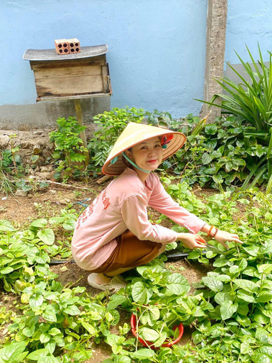 Others 5, Pun corner homestay, Côn Đảo