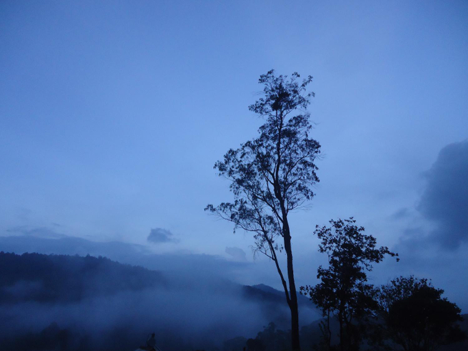 2, Forest Cyniciam Homestay, Welimada