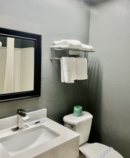 Bathroom 5, Palace Motel, Sevier
