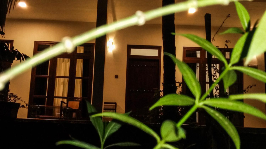 2, The Green Jungle, Dambulla