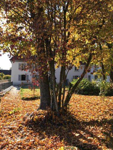 Others 3, Manoir de la Cote-Dieu, Porrentruy