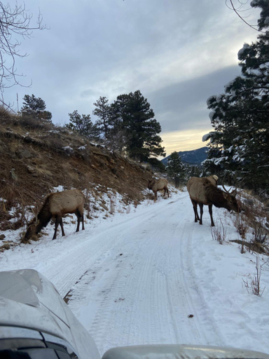 Others 2, Colorado Bed & Breakfast with beautiful views, Jefferson