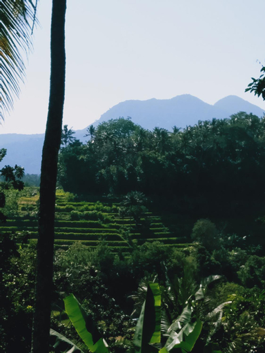 Scenery 7