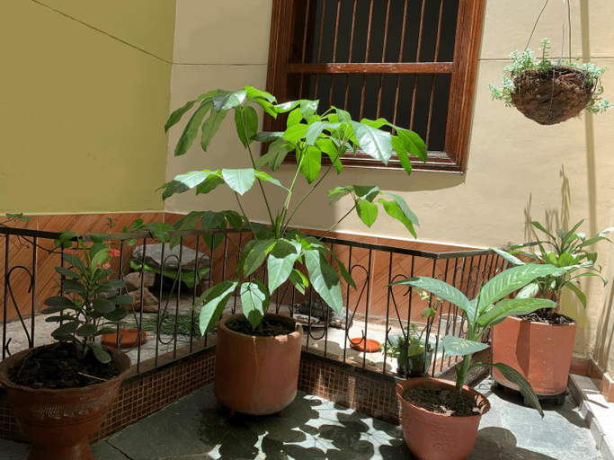 Others 2, Casa Grande, Medellín