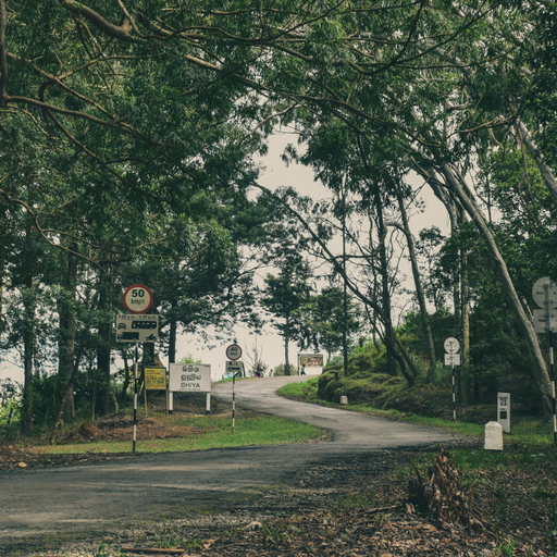 Surrounding environment 3, Forest Cyniciam Homestay, Welimada
