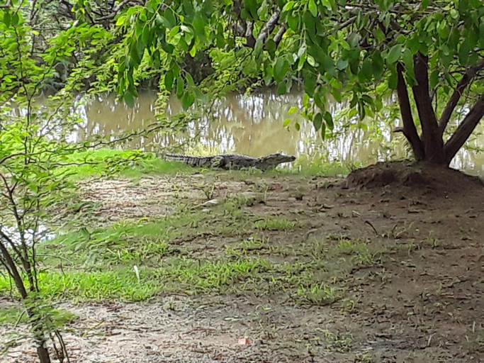 Others 4, Suduweli Beauties of Nature - Yala, Thissamaharama
