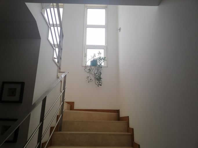 Others 4, RoyalHeronHouse, Viana do Castelo