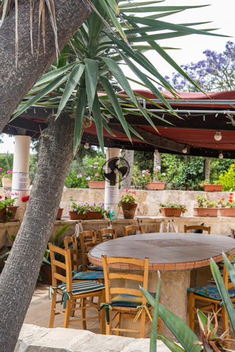 Food & Drinks 4, Ta' Bertu Host Family Bed & Breakfast