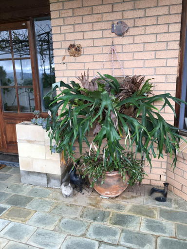 Others 4, Springmead B&B, Lithgow