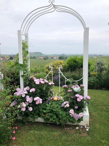 Others 5, Gite Riquewihr "C'est Beau la Vie Alsace", Haut-Rhin