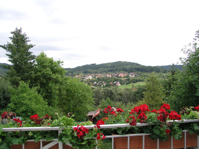 Others 5, Villa Vlasta, Karlovy Vary