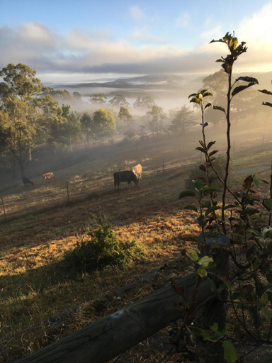 Others 3, Springmead B&B, Lithgow