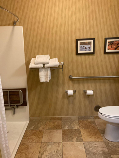 Bathroom 4, Comfort Inn Wings Stadium, Kalamazoo