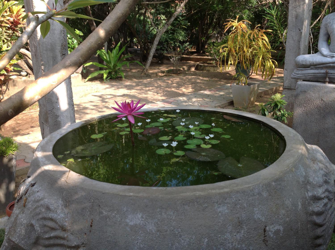 Others 5, Suduweli Beauties of Nature - Yala, Thissamaharama