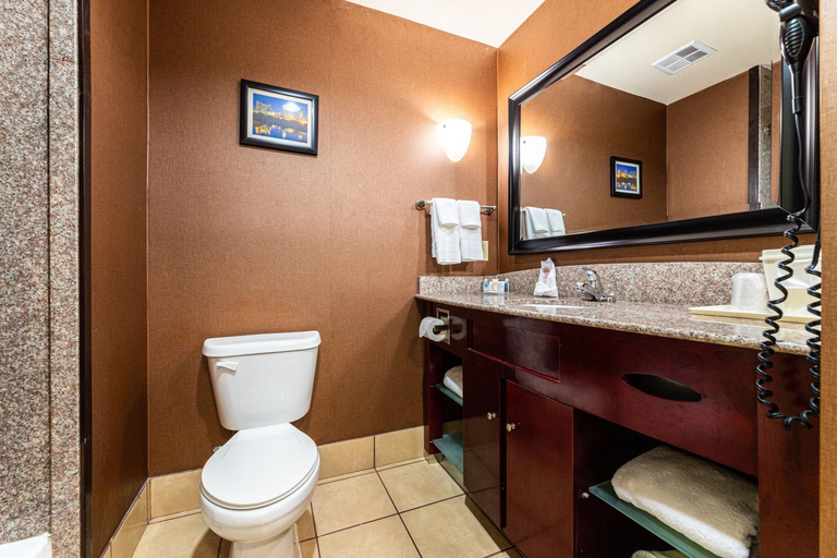 Bathroom 4, Comfort Suites Lake Worth, Fort Worth