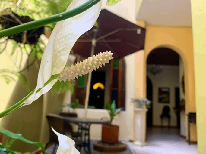 Others 4, Casa Grande, Medellín