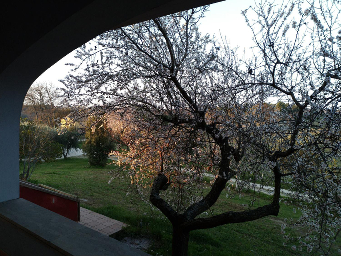 Others 3, Belle Marche, Macerata