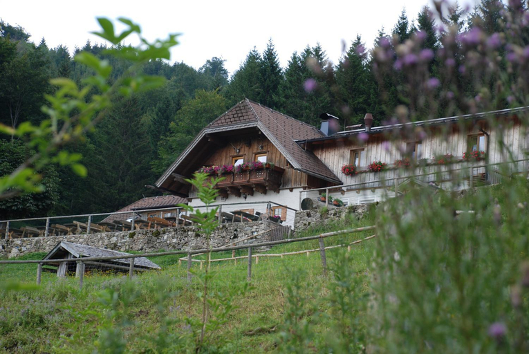 Others 3, Ferienwohnung Hochsteinalm, Gmunden