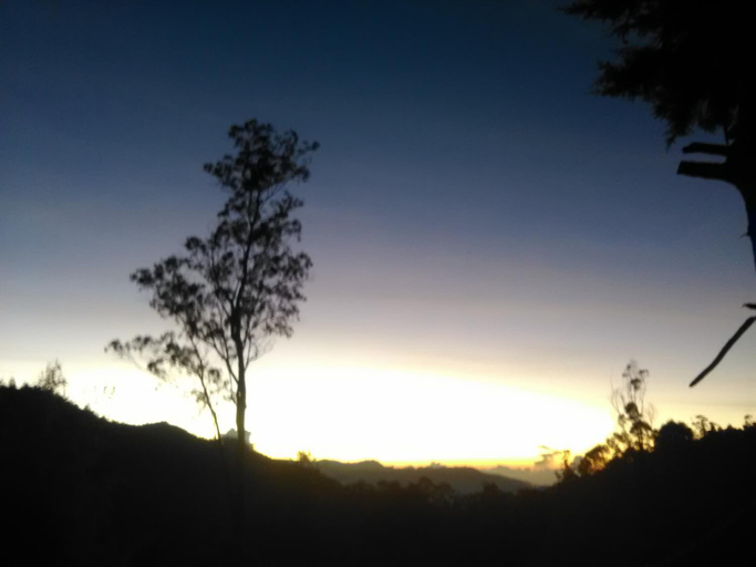 5, Forest Cyniciam Homestay, Welimada
