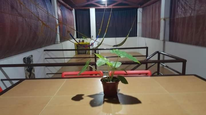 4, Al Shamsa Homes, El Nido