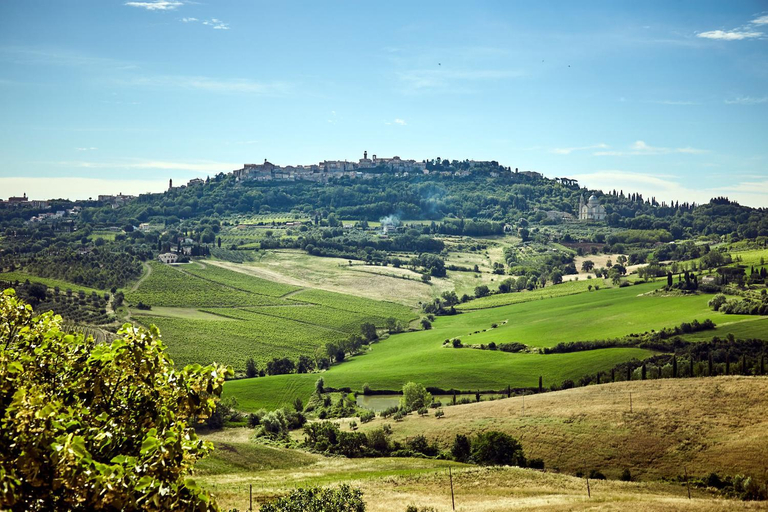 Others 4, CUGUSI BnB, Siena