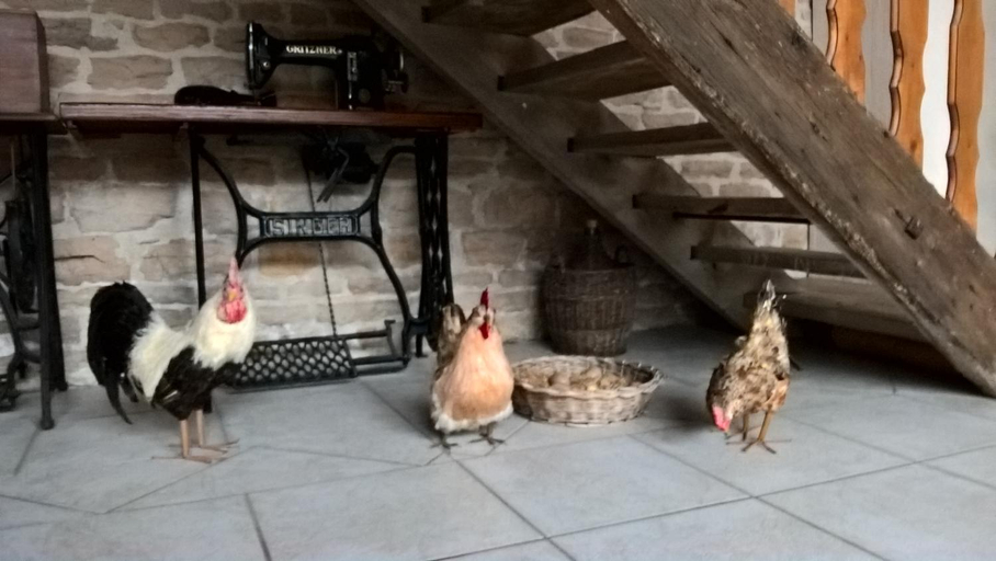 Others 4, La ferme du Grand Faubourg, Ain