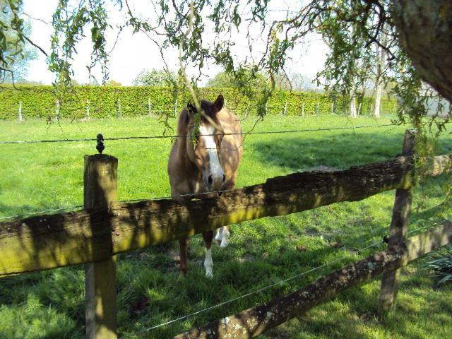 Others 2, La PASTORALE, Eure-et-Loir