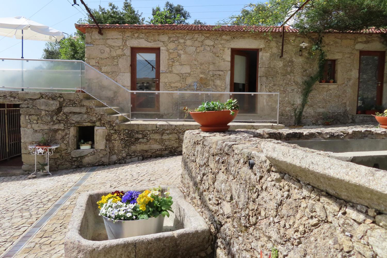 Others 4, Casa Ventura, Oliveira de Azeméis
