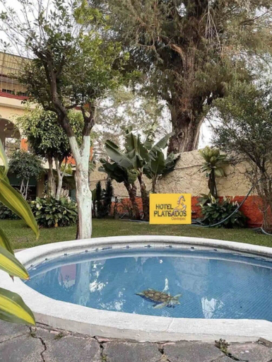 Sport & Beauty 5, HOTEL PLATEADOS OAXTEPEC, Tlayacapan