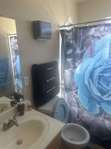 Bathroom 3, B&B at the Paseo's by Wanda, El Paso
