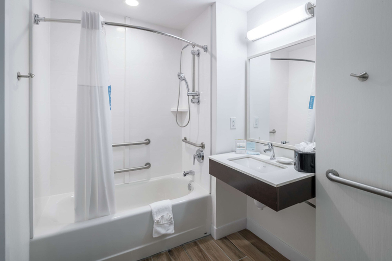 Bathroom 4, Hampton Inn & Suites Atlanta-Downtown, Atlanta