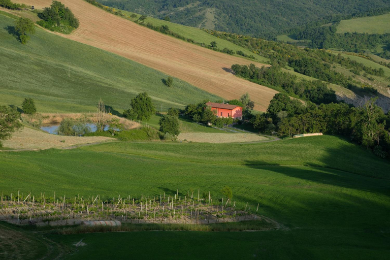 Others 4, Al Sasseto B&B, Modena