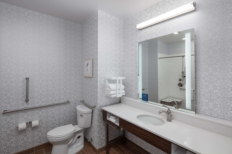 Bathroom 4, Hampton Inn by Hilton Green Bay Stadium, Brown