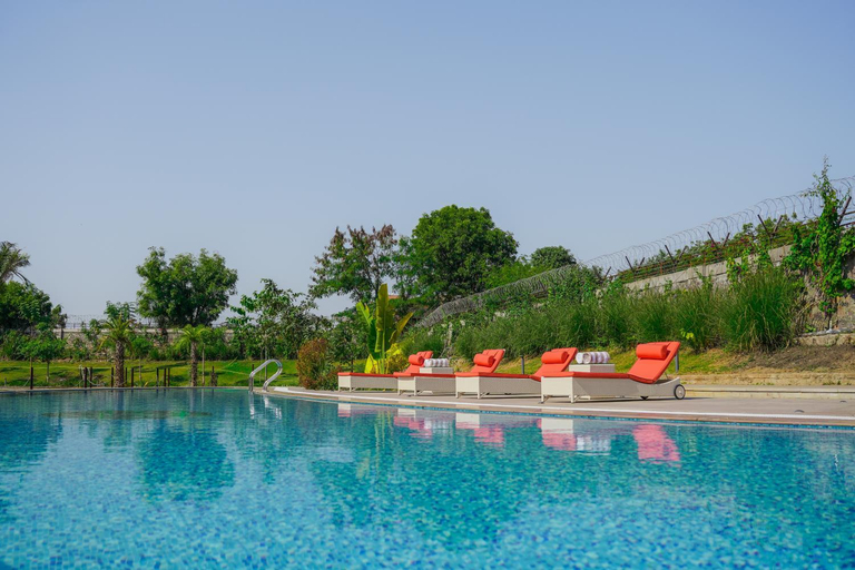 Sport & Beauty 2, Aamaghati Wildlife Resort, Ranthambore, Sawai Madhopur