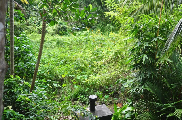 Others 3, Jungle Fence, Bentota
