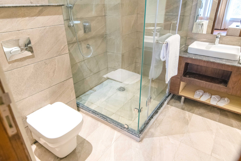 Bathroom 5, Coral Resort and Spa Centrally Heated Mountain Side Resort Manali, Kullu