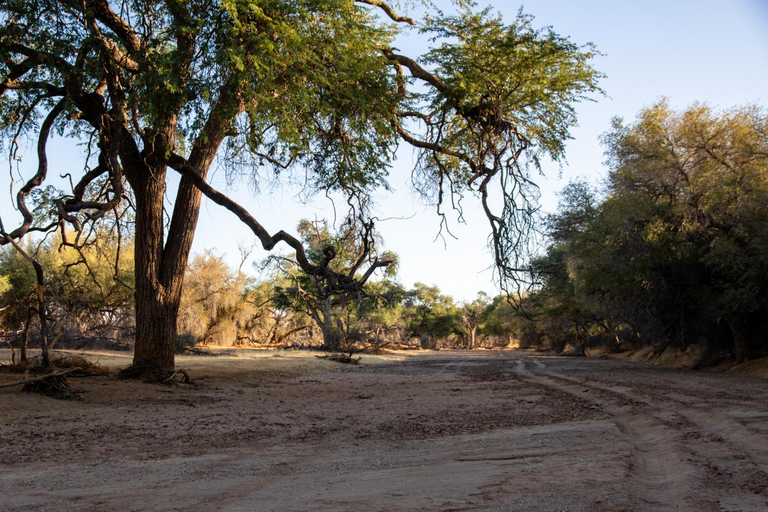 Others 5, Ugab Game Farm & Lodge, Kamanjab