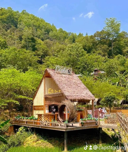 Others 5, Trieu Hoan homestay, Trùng Khánh