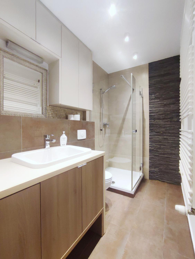 Bathroom 4, Turnau City Aparthotel, Kraków City
