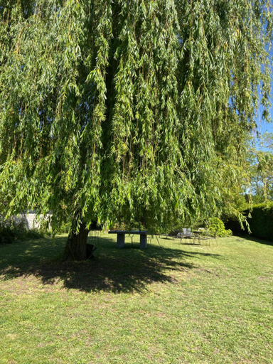Others 2, Cocon en lisiere de foret, Seine-et-Marne