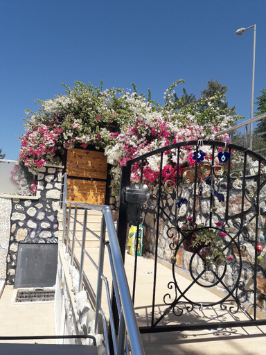 Others 5, Villa Nordic Dream, Kaş