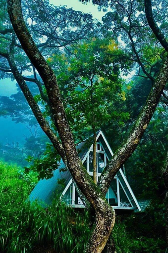 Others 5, Tree Nature Resort, Badulla