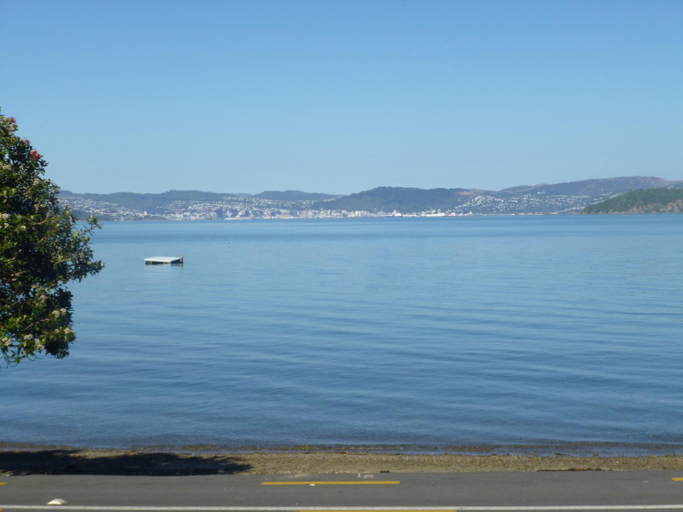 Others 4, Breakaway at York Bay, Hutt city
