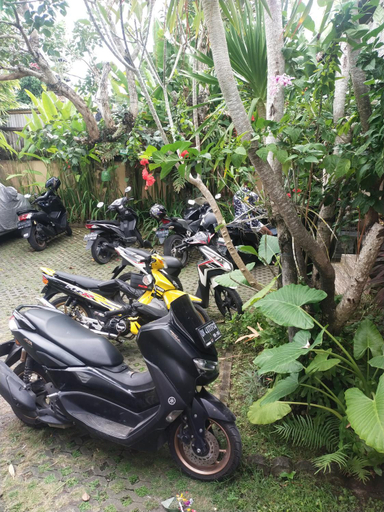 Others 5, Come Back Guesthouse, Badung