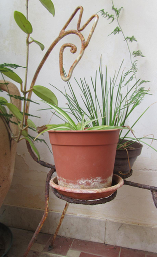 Others 5, Bed & Breakfast Alice, Trapani