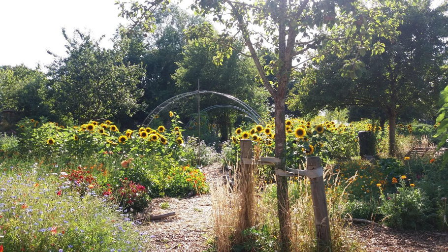 Others 4, De Geheime Tuin - Huisje in 't Groen, Epe