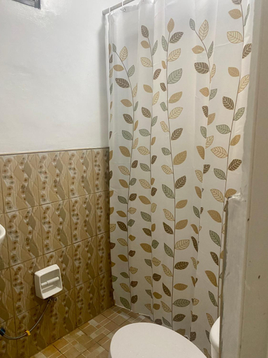 Bathroom 5, Traditional Filipino Home near 100 Islands Wharf, Alaminos City